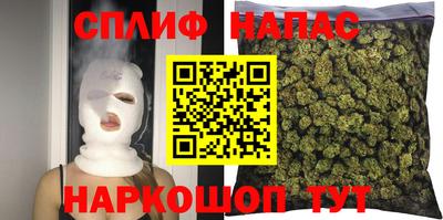 сатива Бузулук
